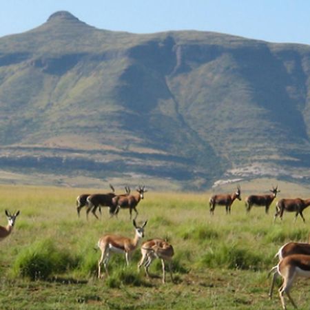 Moolmanshoek Private Game Reserve Hotel Ficksburg Exteriér fotografie