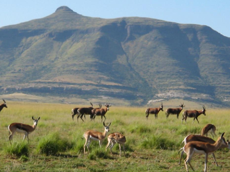 Moolmanshoek Private Game Reserve Hotel Ficksburg Exteriér fotografie